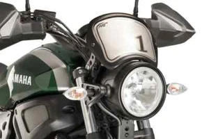 Fliegengitter Windschott "Carbon Look" Indian FTR 1200/S 2019 - Bild 1 von 4