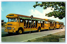 c1960's Buses Fall in Line Barbados West Indies Vintage Unposted Postcard