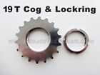 19T COG & LOCKRING - FIXED GEAR TRACK 19 TOOTH CHROME PLATE 1/8