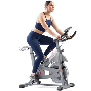 Sunny Health & Fitness SMART Magnetic Resistance Exercise Bike SF-B123033 - Picture 1 of 6