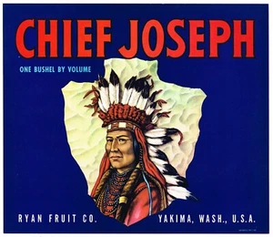 PUNTA DE FLECHA ORIGINAL DE COLECCIÓN JEFE INDIO JOSEPH YAKIMA ETIQUETA DE CAJA DE MANZANA DE LA DÉCADA DE 1940 - Imagen 1 de 1