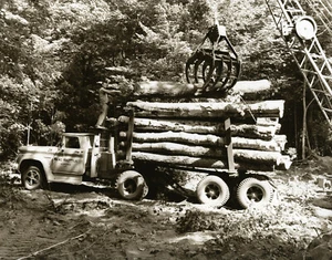 Troncos de transporte con camionetas Chevy Camionetas Chevrolet Camiones de campamento de madera 1960 - Imagen 1 de 1
