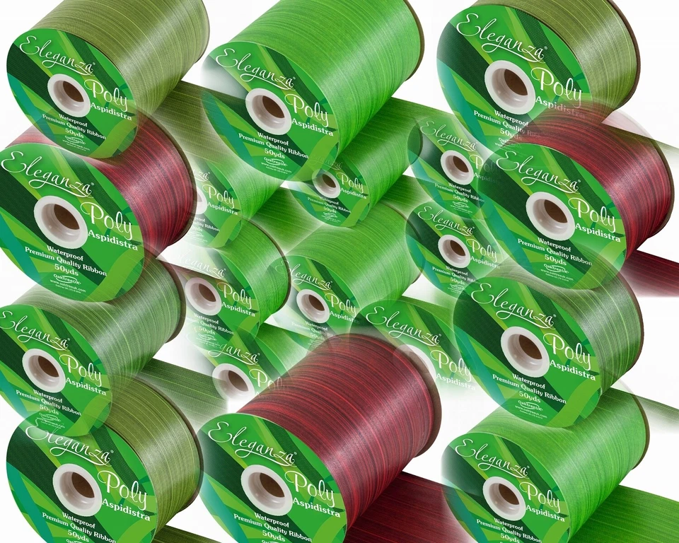 ELEGANZA OAKTREE Full Roll, Aspidistra Poly Florist Ribbon. 50mm or 100mm X 50yds. Waterproof.
