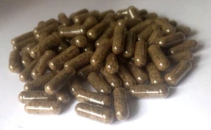 Mullein Leaf Verbascum Thapsus Capsules 300mg Grade *A* Premium Quality FREE P+P - Picture 1 of 2