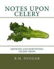 Notes Upon Celery: Growing and Harvesting Celery Crops by B.M. Duggar (English) 