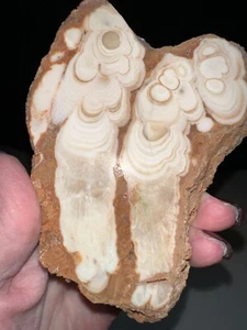 Kokoweef Cave Onyx Slab,Quartz crystal,Metaphysical,Unique,Reiki,Decor,Specimen - Picture 1 of 3