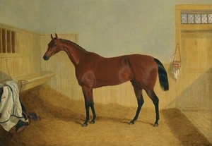 Impresión de caballo ecuestre Bay Filly Beeswing en un establo John Frederick arenque - Imagen 1 de 6