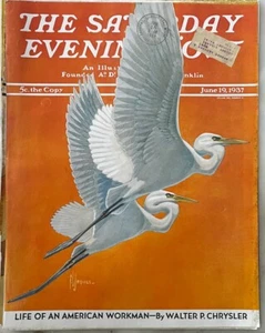 Saturday Evening Post - Francis Lee Jaques - cover only, June 19, 1937, herons - Imagen 1 de 1