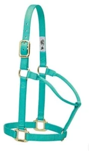 Weaver Leather Original Non-Adjustable Nylon Horse Halter, Small, Emerald - Picture 1 of 1