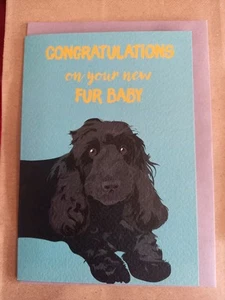 Herzlichen Glückwunsch zu Ihrem neuen Fellbaby. - Bild 1 von 2