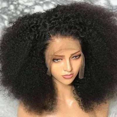 15A Afro kinky Curly Wigs for Black Women 13*4 Lace Front 100% Human Hair Wigs - Image 1 of 4