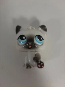 2005 Littlest Pet Shop LPS Magic Motion braune Perserkatze bewegliche Zunge - Bild 1 von 2