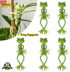 5 pcs Frog Plant Stand Support Clips Garden Decor Indoor Plant Holder Add charm