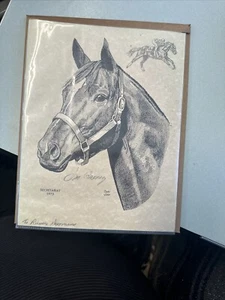 SEKRETARIAT 1973 Portrait signiert von Jim Gaffney - Bild 1 von 2