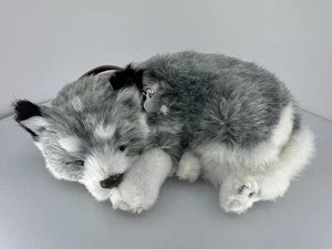 Perfect Petzzz - Original Petzzz Alaskan Husky Life Like Breathing WORKS - Bild 1 von 17