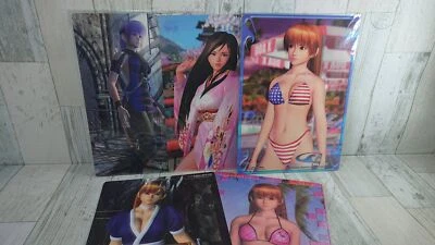 Shitajiki Dead or Alive Plastic Board 5-Sheet Set Japanese Version - USED Items - Image 1 of 4