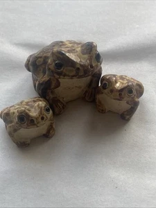 Shigaraki Frogs  - Picture 1 of 6