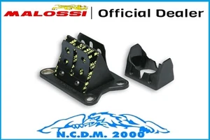 Paquete Laminado Válvulas Carbono Malossi Aprilia Rs 50 2T LC 2006- - Imagen 1 de 4