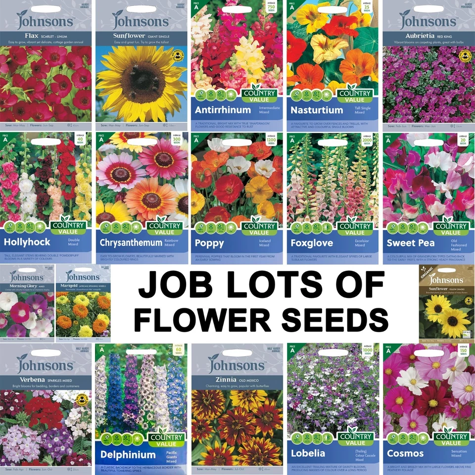 Job Lot Mixed Flower Seeds Mr Fothergill's, Johnsons, etc. - Sow By 2026 to 2029 - Image 1 of 1
