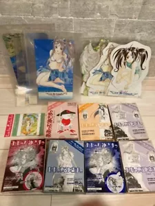 Ah My Goddess Figure Lot - Skuld, Urd, Belldandy, Clear Files From Japan - Picture 1 of 14