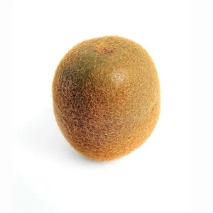Kiwi Fruit Very Realistic 6cm/2.5 inch Diameter - Picture 1 of 1
