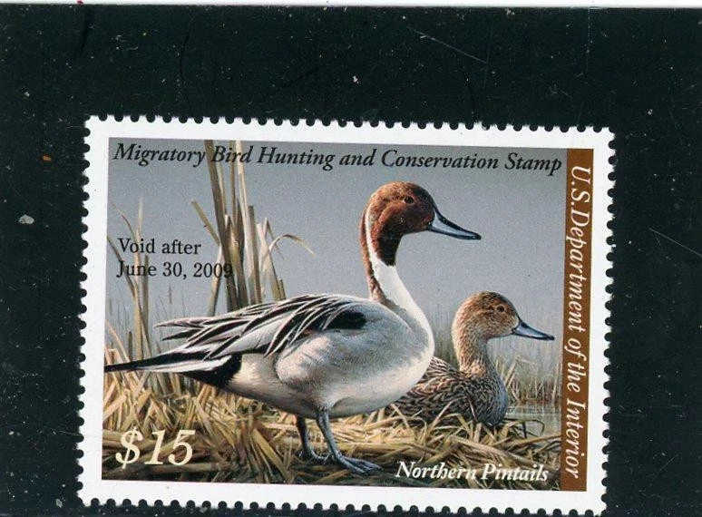 RW75 2008 Federal Duck Mint NH w/ Discount Coupon - Image 1 of 1