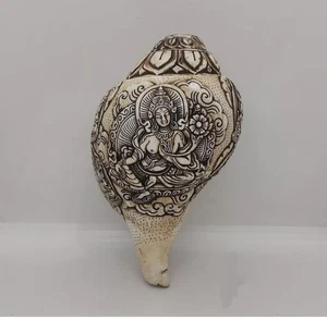 Hand Carved White Tara Ritual Conch Shell Buddhist Shankha monk trumpet , TK - Picture 1 of 9