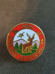 ENDLESS MOUNTAINS WBA Bowling Lapel Hat Enamel  Pin C - Picture 1 of 2