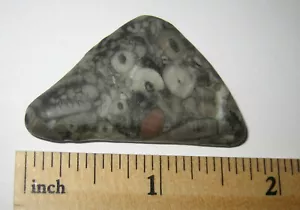 1.7" TUMBLED NATURAL CRINOID MARBLE FOSSIL STONE FROM THE OCEAN FLOOR ~ 10.4g *2 - Picture 1 of 2