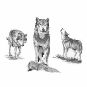 Wolves - SKBNL2 Royal & Langnickel / Brush Large Sketching Made Easy - Picture 1 of 1