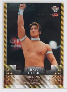 BXB HULK  - 2008 BBM DRAGON GATE Pro-Wrestling Trading Card - Picture 1 of 3