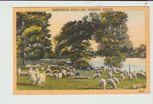 POSTKARTE GRUSS VON MT. VERNON TEXAS - 1950 - Bild 1 von 2