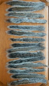 15 trockene graue Eichhörnchenschwänze Taxidermy Fliegenbinden Qualität rotes Eichhörnchen Naturschutz - Bild 1 von 5