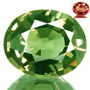 COLOR CHANGE GARNET 1.04ct FLAWLESS NATURAL SPARKLING GREEN TO RED FLASH OVAL 