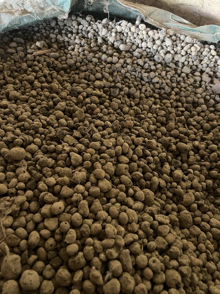 Leca Expanded Clay Balls 5L Kiln Treated, 3-10mm, Hydro/Vivarium/Terrarium - Image 1 of 2
