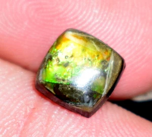 Piedra preciosa de ammolita natural rara cabujón 1,40 quilates piedra preciosa de ammolita suelta - Imagen 1 de 5