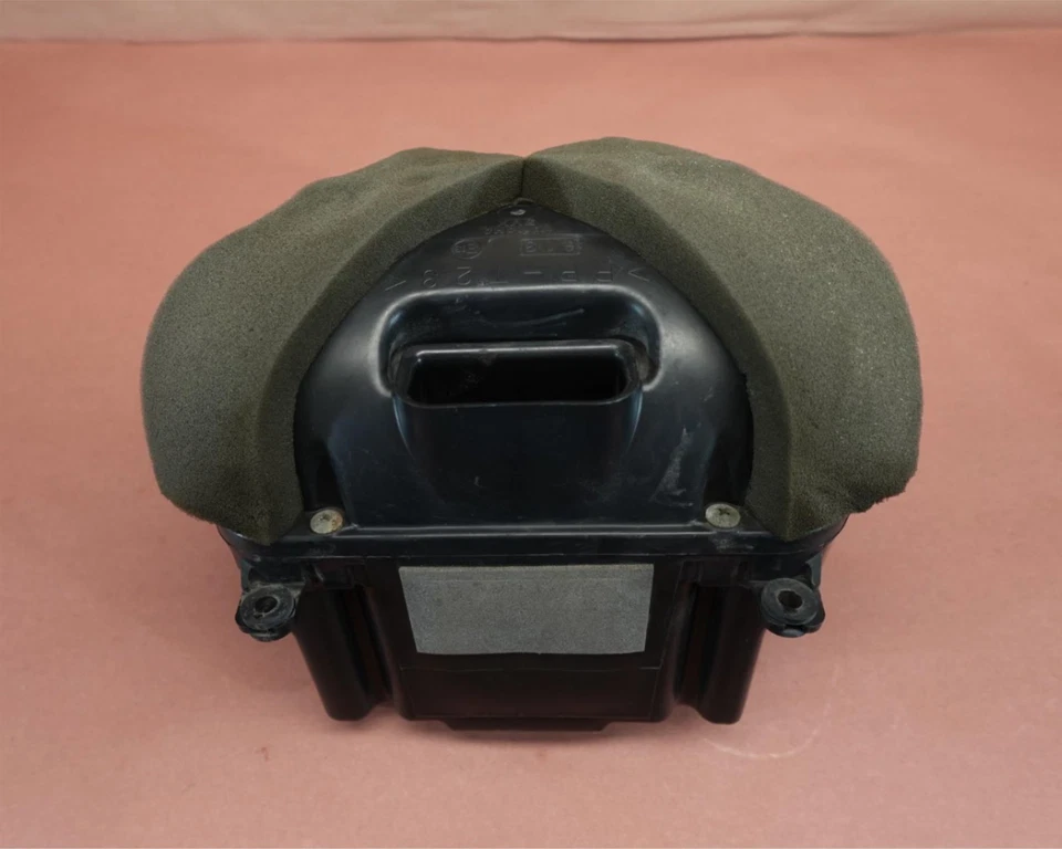 Caja de filtro de aire Yamaha FZ6-S FZ6S FZ6 FZ600 2004-2009 caja de aire Foto 1 de 4