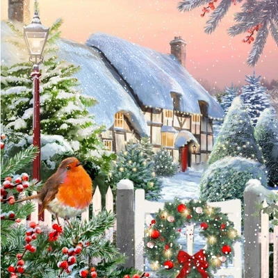 Our Very Own Robin Charity Christmas Card Packs - Midlands Animal Rescue Team