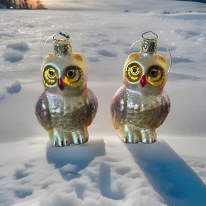 German Blown Glass Owl Ornaments By Christborn Christmas Set Of 2 Owls - Picture 1 of 6
