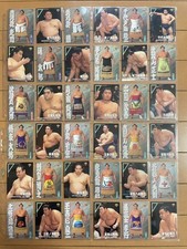 Bbm99 Bbm1999 Sumo Card Regular 195 Pieces Complete