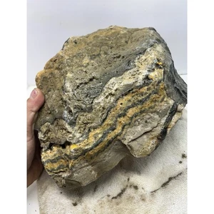 Diaspro bombo 20 libbre, cavolo grezzo, lapidario, pietra preziosa, - Foto 1 di 12