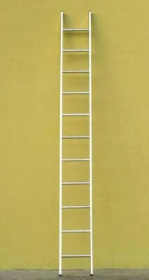 SCALA IN ALLUMINIO DA APPOGGIO VENUS 12 GRADINI - Immagine 1 di 3