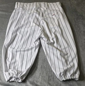 Alleson Men's Baseball Pants Size L Large White Blue Pin Stripe NWOT - Picture 1 of 8