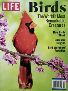 BIRDS - THE WORLD'S MOST REMARKABLE CREATURES 2025 LIFE Magazine Special NEW - Picture 1 of 9
