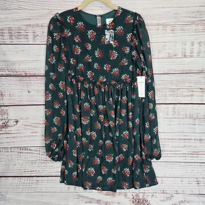 Aura Dress Sm Green Red Floral Long Sleeve Lined Ruffle Waist Whimsy Fairy NWT - Picture 1 of 14
