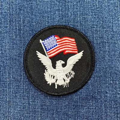USA Flag & Eagle Patch - United States Of America Federal Government Embroidered - Image 1 of 2