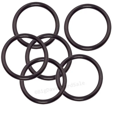 BIGDAVESYARDSALE, INC.® Fire Extinguisher ORINGS - Bag of 10 (OR29) For 10# Amerex and Badger