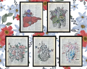Dictionary Prints Anatomy Floral Art Wall Decor Medical Art Print Gift - Picture 1 of 6