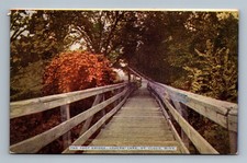 St. Cloud,MN Foot Bridge Lovers Lane 1910 Stearns County Minnesota Vintage