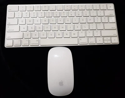 Teclado Apple Inalámbrico Bluetooth Recargable A1644 y Magic Mouse A1657 PROBADO Foto 1 de 4